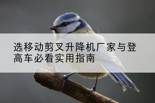 沙河口电动升降机厂家-选移动剪叉升降机厂家与登高车必看实用指南