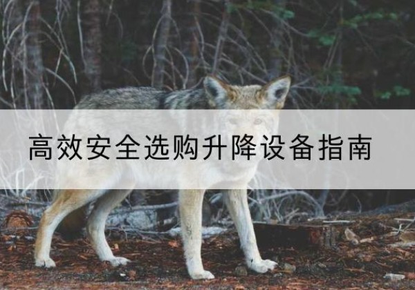 沙河口升降货梯厂家推荐-*安全选购升降设备指南