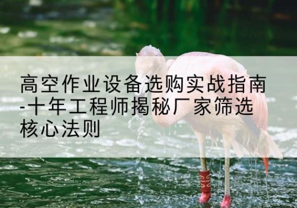 沙河口剪叉式升降机厂家-高空作业设备选购实战指南-十年工程师揭秘厂家筛选核心法则